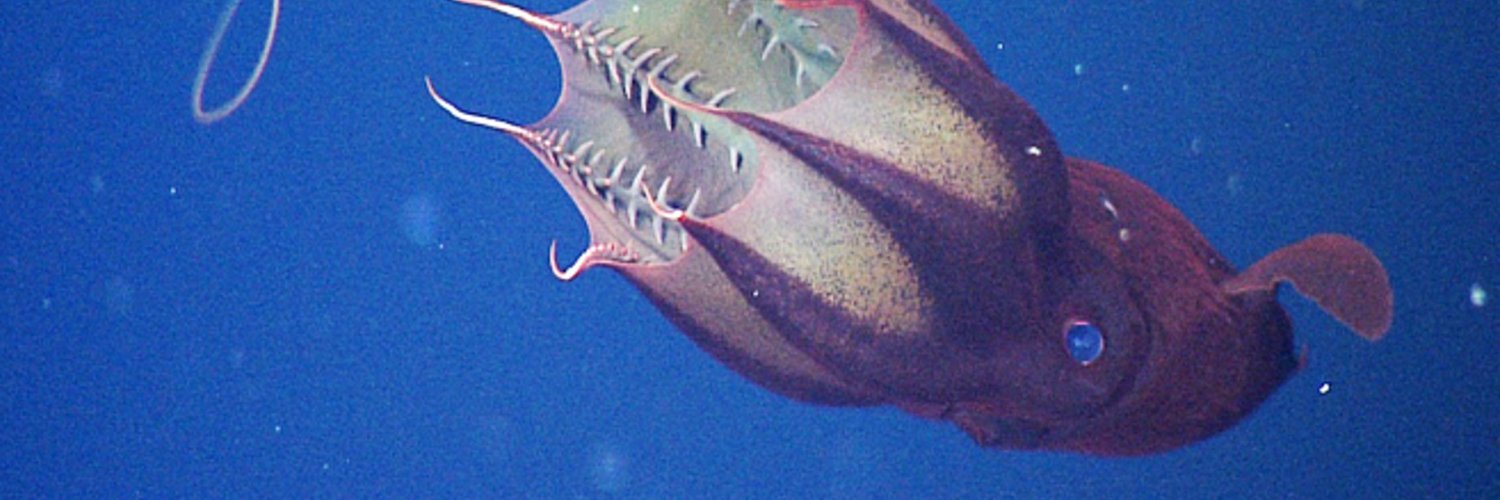 AcceptTheMyst's profile banner image