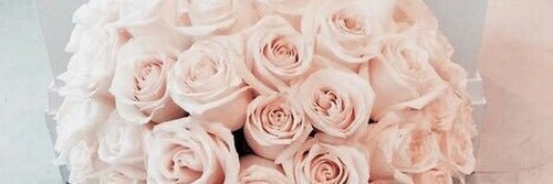 osnapitzkcap's profile banner image