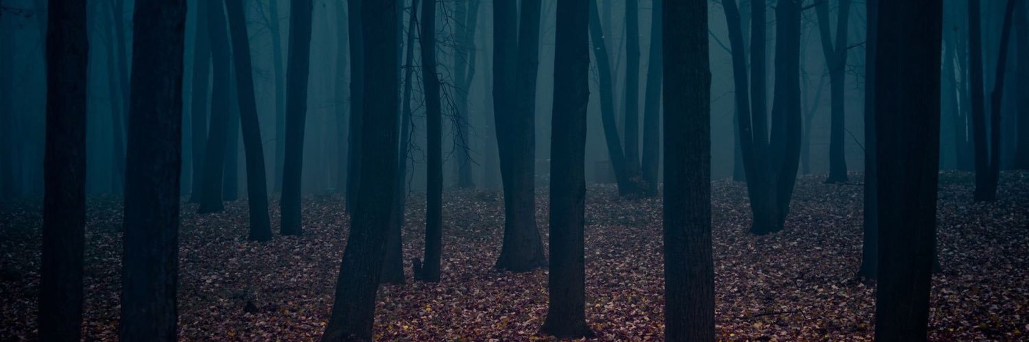 cursedarchon's profile banner image