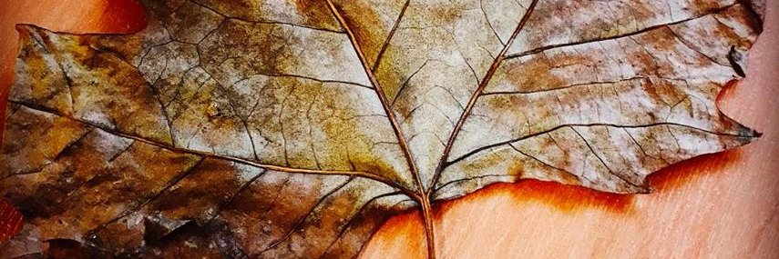ConiValente's profile banner image