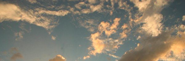 etemoncheri Profile Banner