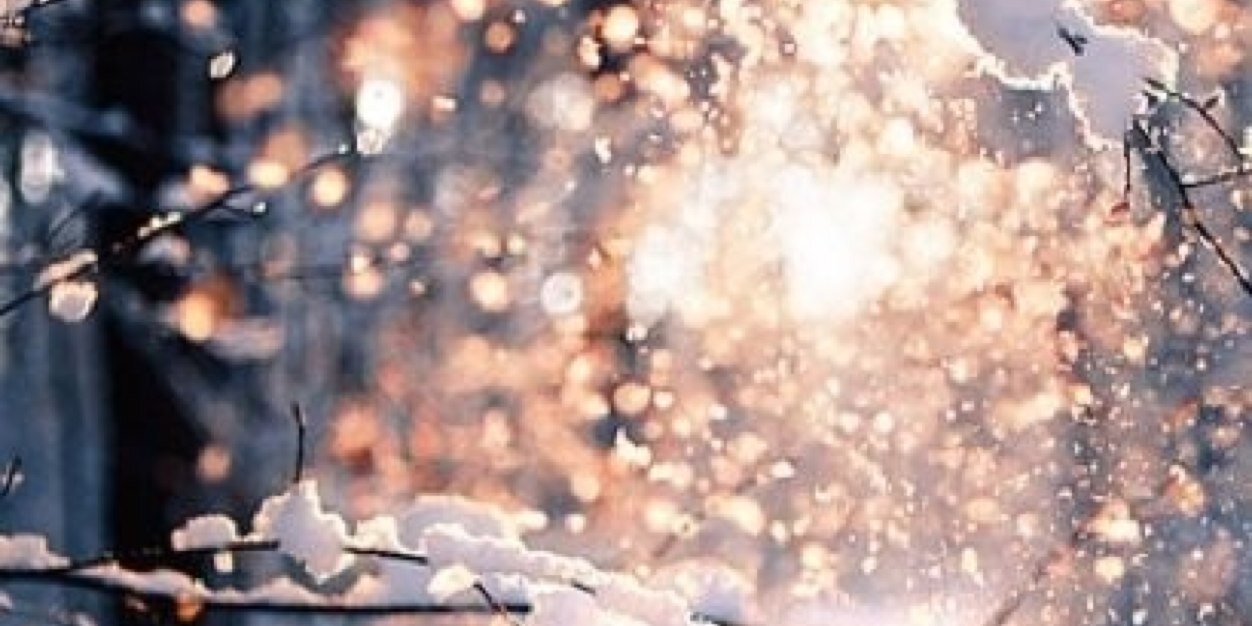 MacraefishM's profile banner image