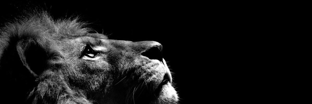 js18___'s profile banner image