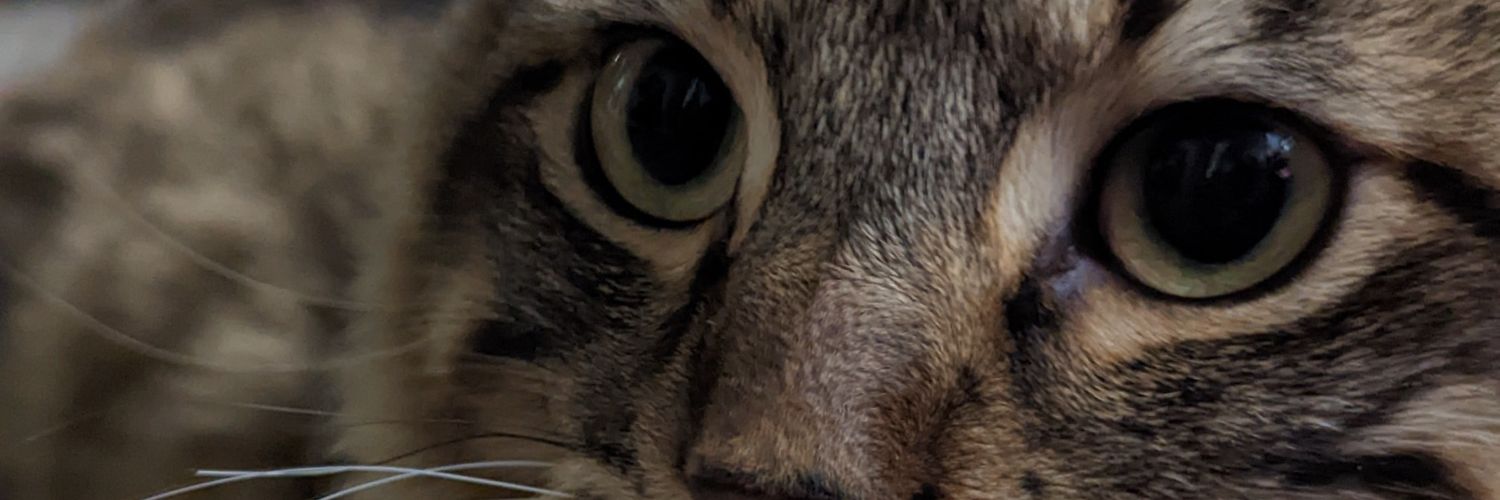 LowBatttery's profile banner image