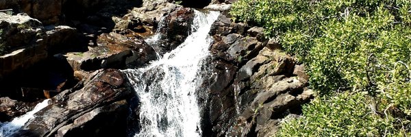 DrTonyCarden Profile Banner