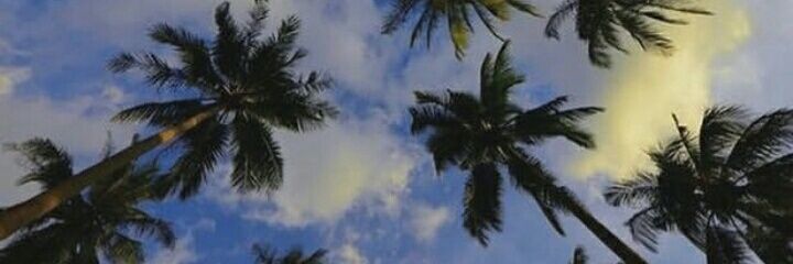 tyasmnda's profile banner image