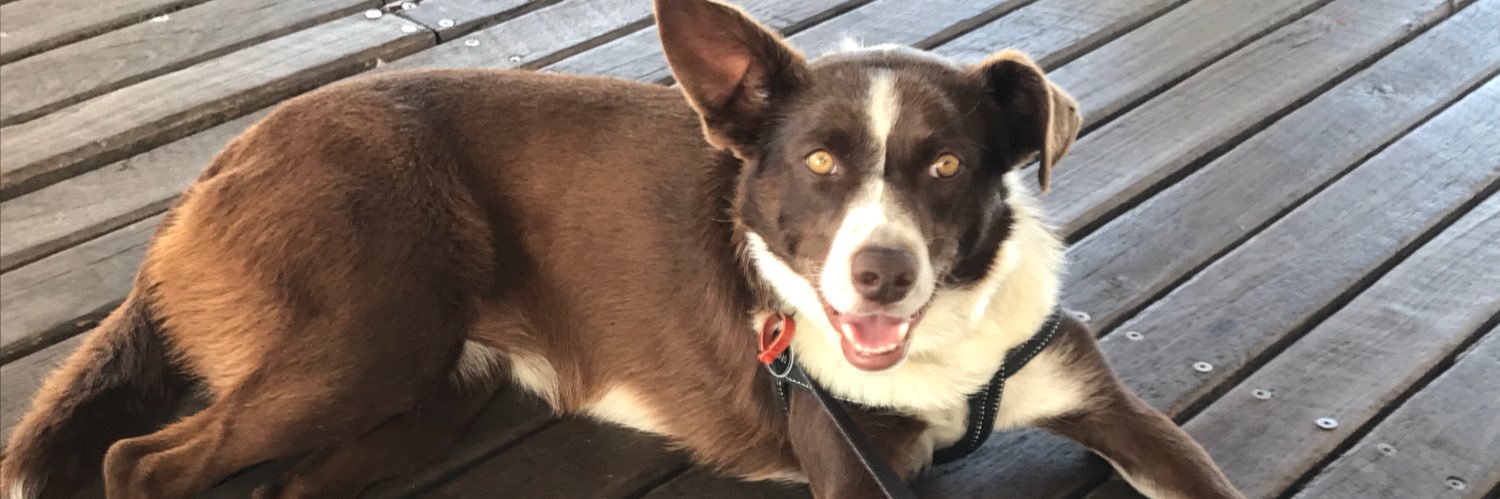 Peter Wallace W.A. banner