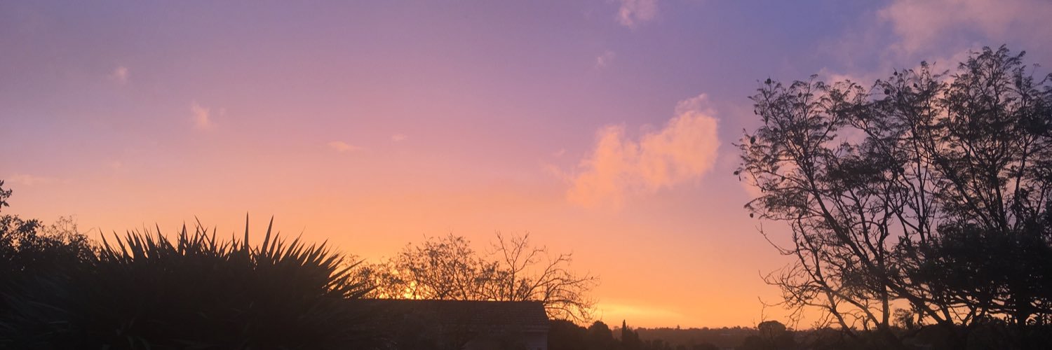 LukeReichman's profile banner image