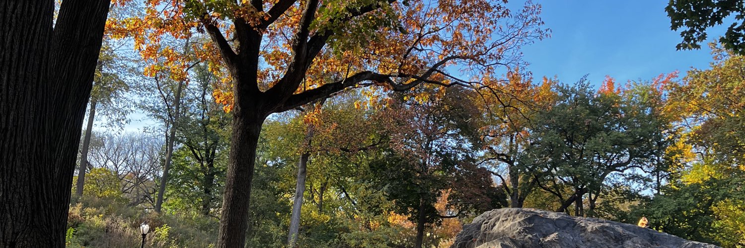 spideyslug's profile banner image