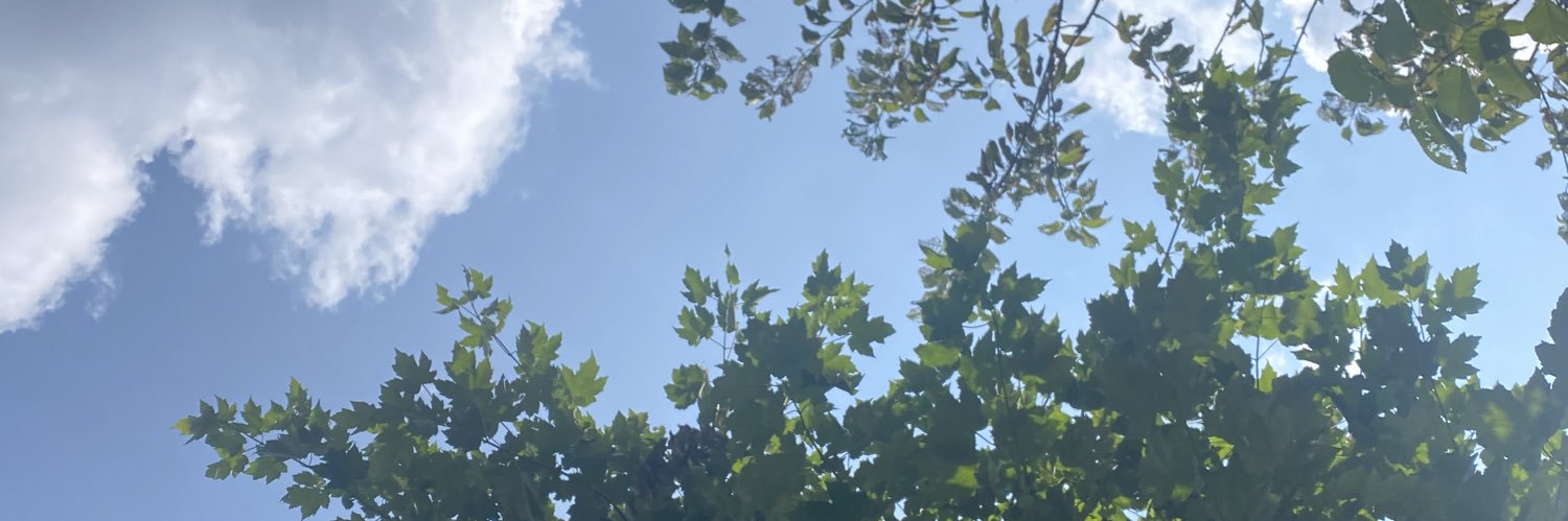 nannynery's profile banner image