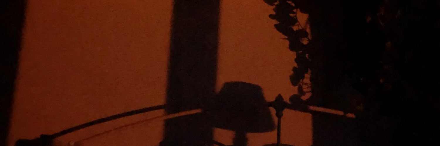 Daisy Garroch banner