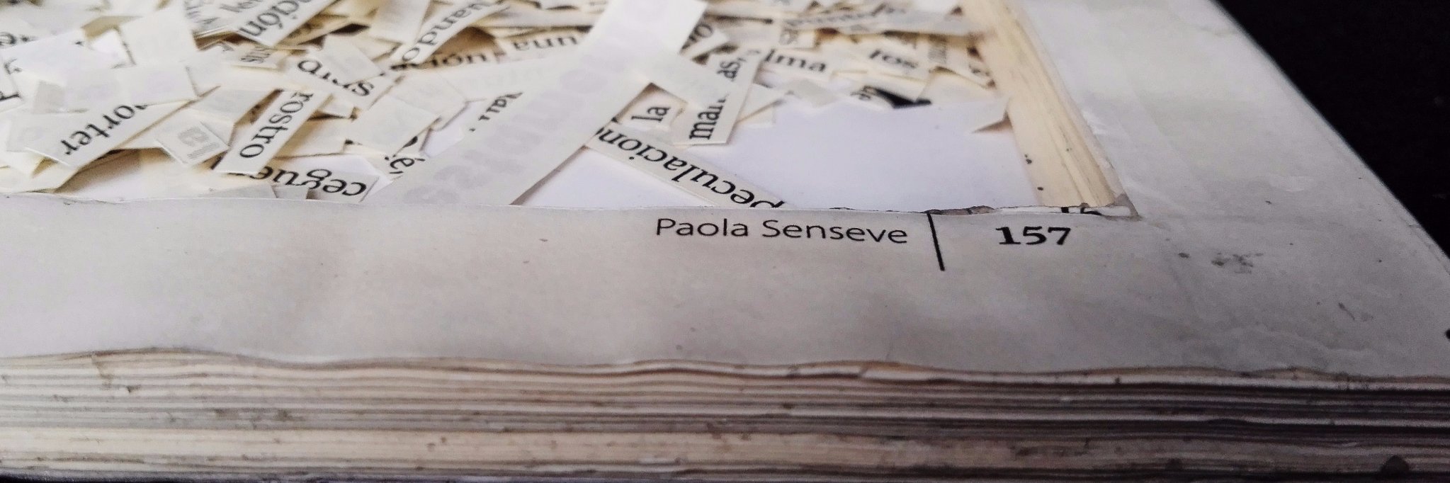 Paola R. Senseve T. banner