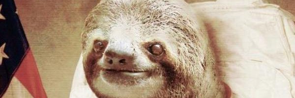 MatthewRekos's profile banner image