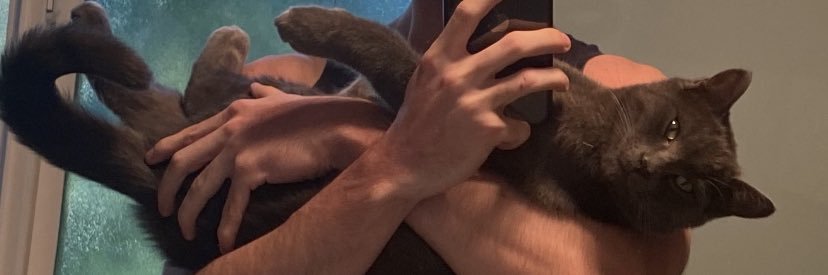 nicdevore's profile banner image