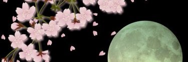 xinpeace's profile banner image