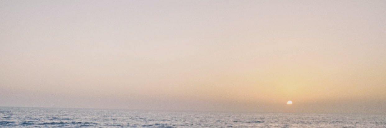 rachelredl's profile banner image