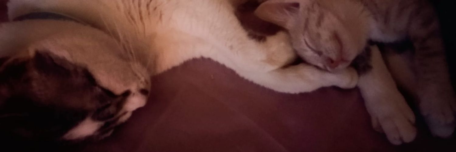 Merce_ggadea's profile banner image