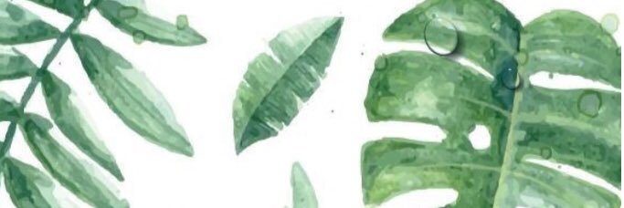 TracyLeexx's profile banner image