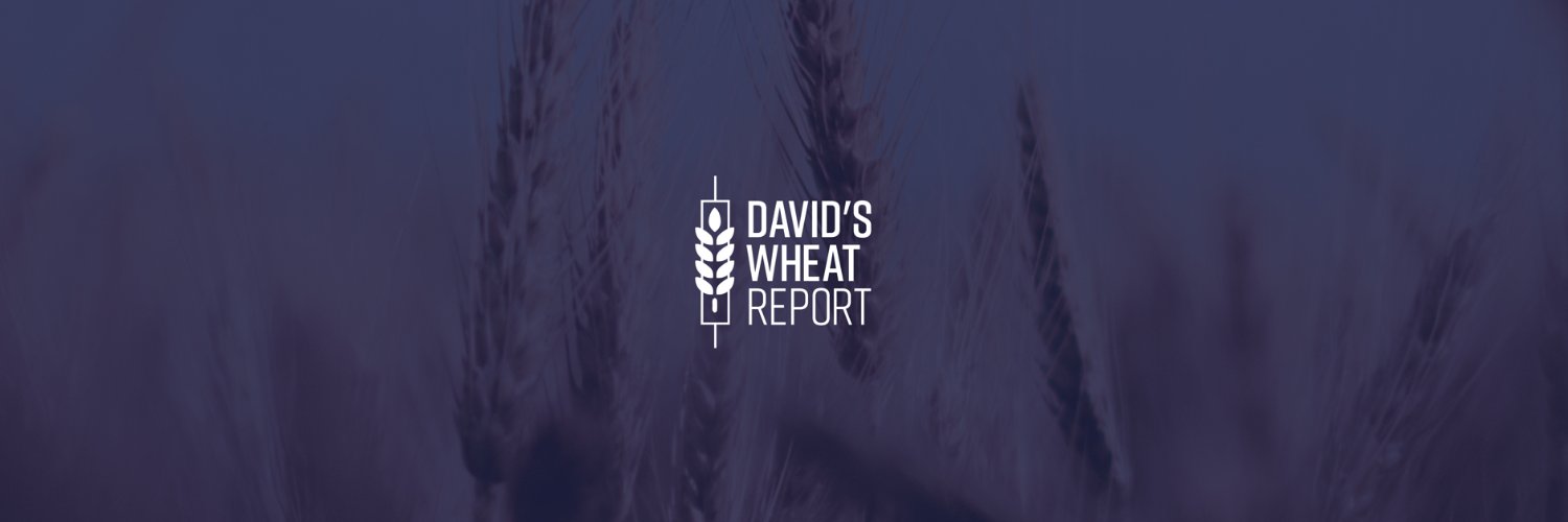 Davidburrs's profile banner image