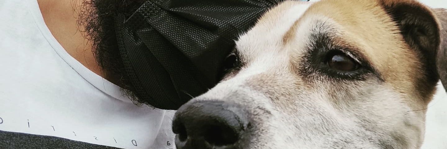 Hannibalecter_'s profile banner image