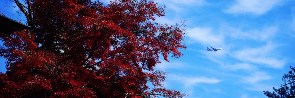 MJYUKI0302's profile banner image