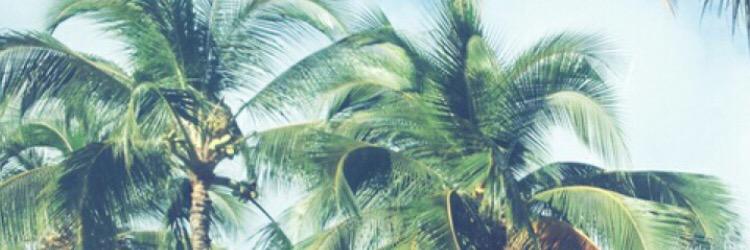 plearnpuff's profile banner image