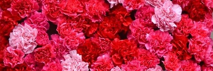 SabrinaBell16's profile banner image