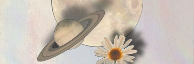 Fhandraaa's profile banner image