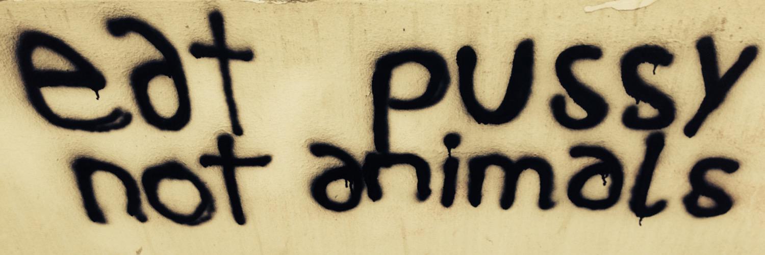 ms_piep's profile banner image