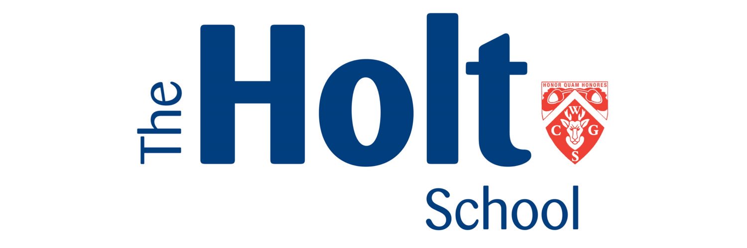 TheHoltComputing banner