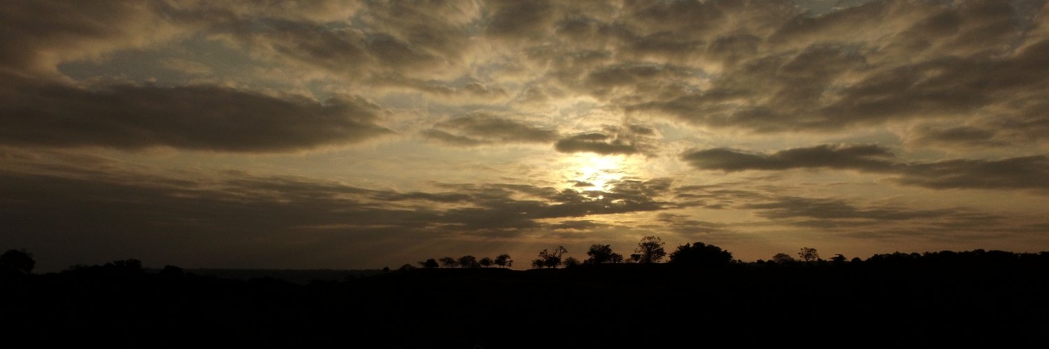 Alejandro Carmona banner