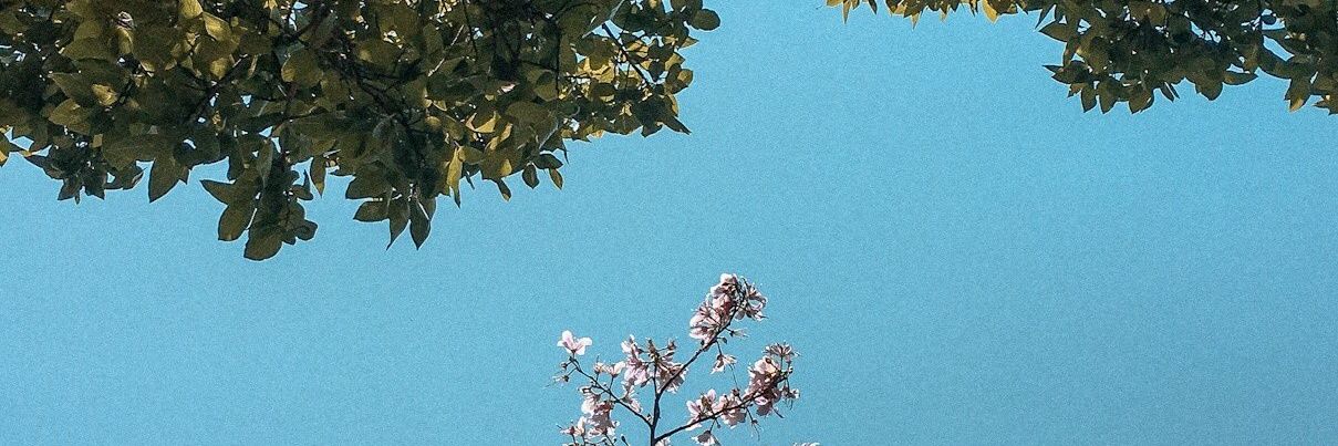 darshangandhii's profile banner image