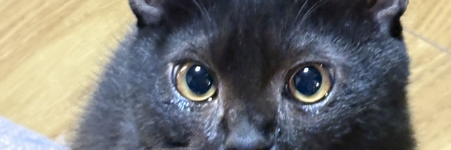 ErubaRuna's profile banner image