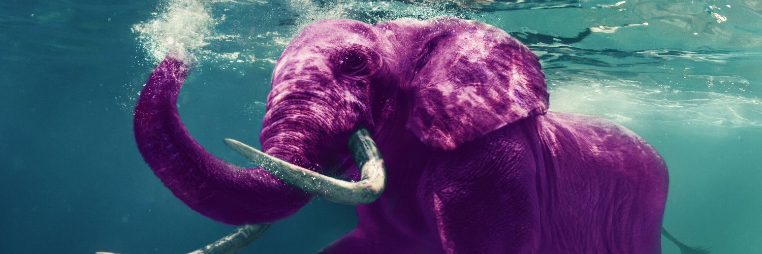 Pink Elephant UK banner