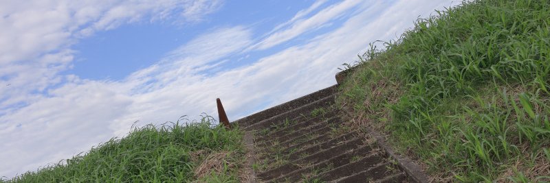 D20014's profile banner image