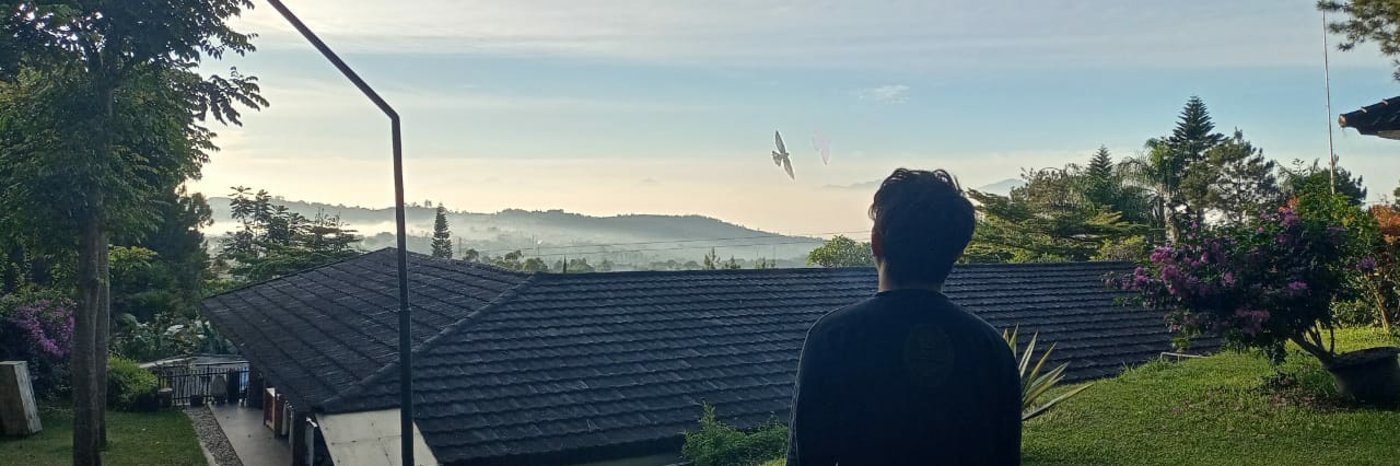 alelulll's profile banner image