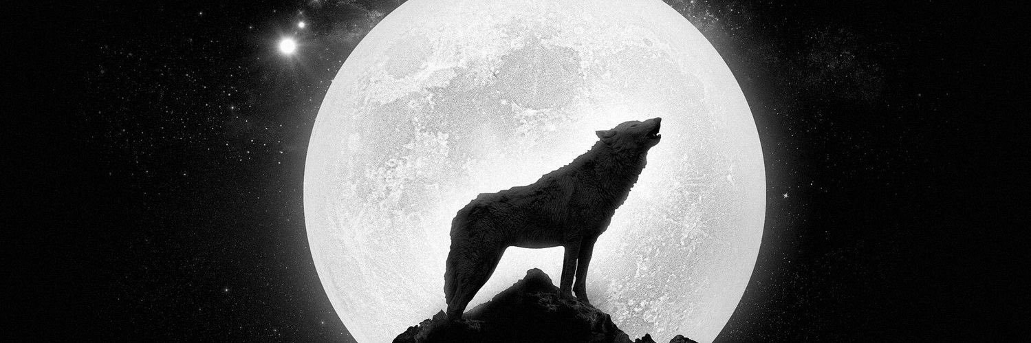_maestraw's profile banner image
