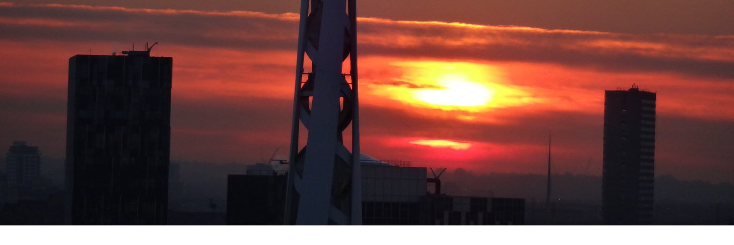 singlestrike's profile banner image