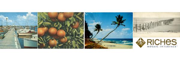 RichesMI Profile Banner