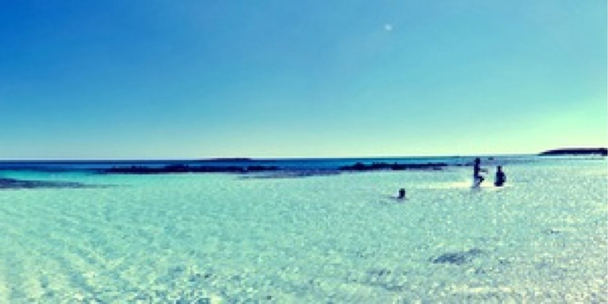 MaaikedeGreef's profile banner image