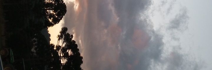 AngelaRezend_'s profile banner image