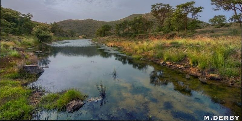amer427's profile banner image