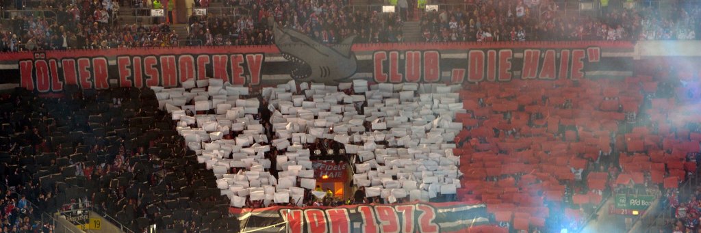 R1972 banner