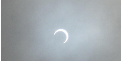LunaColla's profile banner image