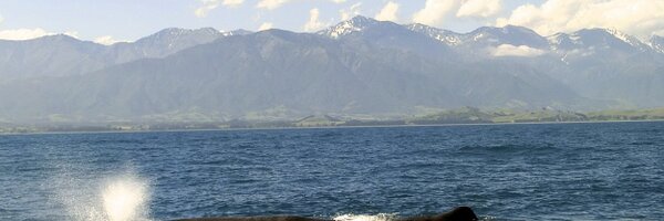 APoetsch Profile Banner