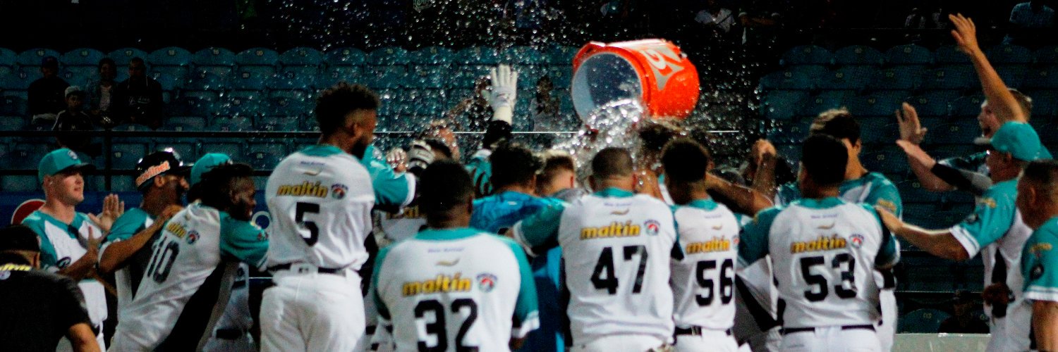 Bravos de Margarita banner