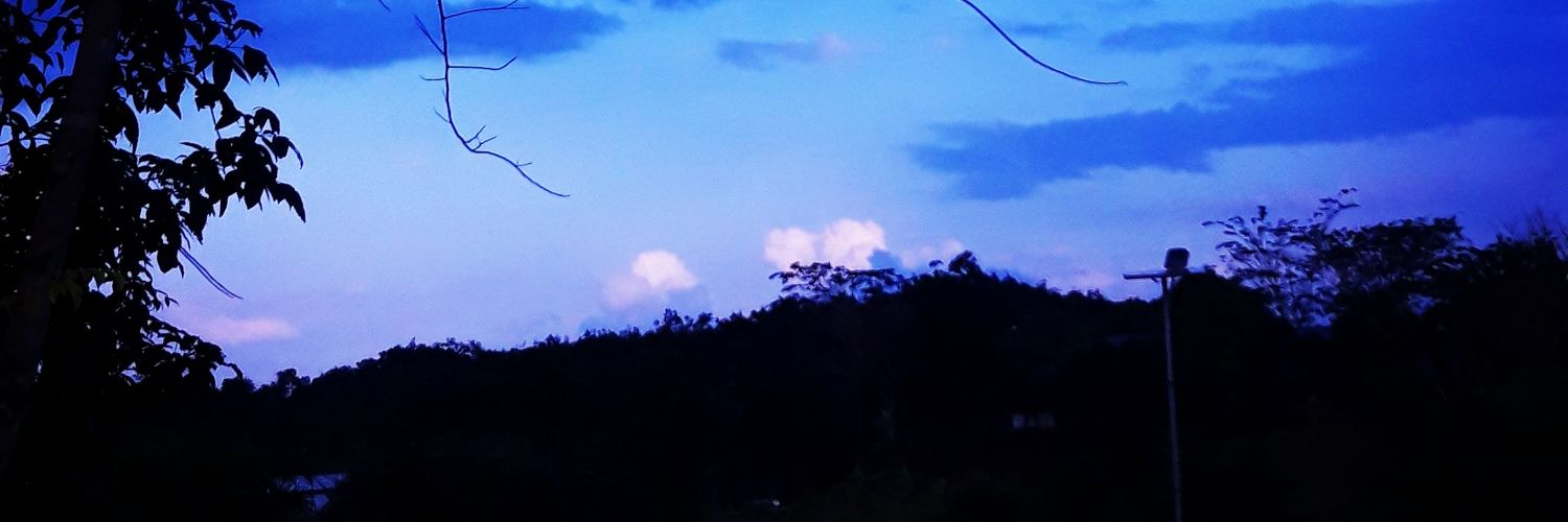 sukoco181's profile banner image