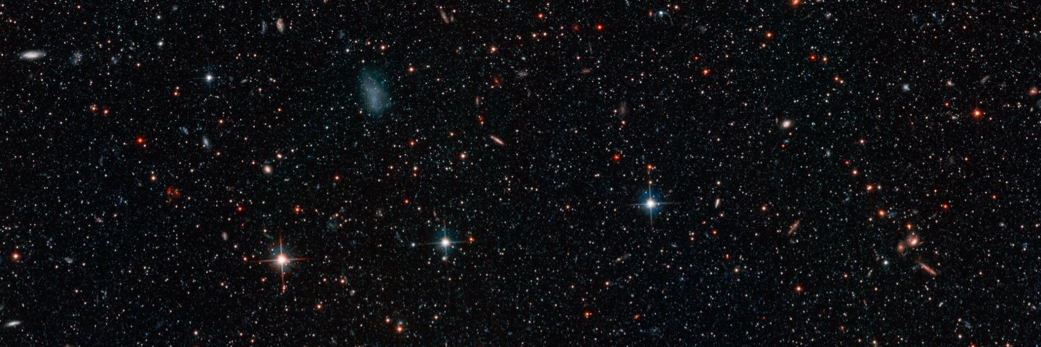 Mike Coldewey banner