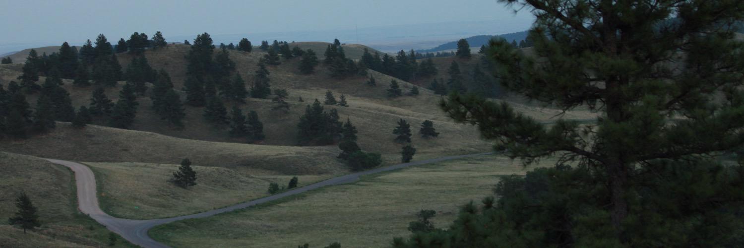 Jesse_Orth's profile banner image
