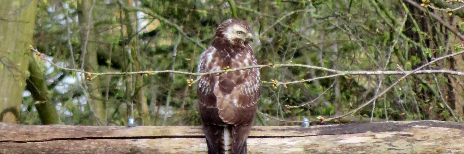 de Natureluur banner